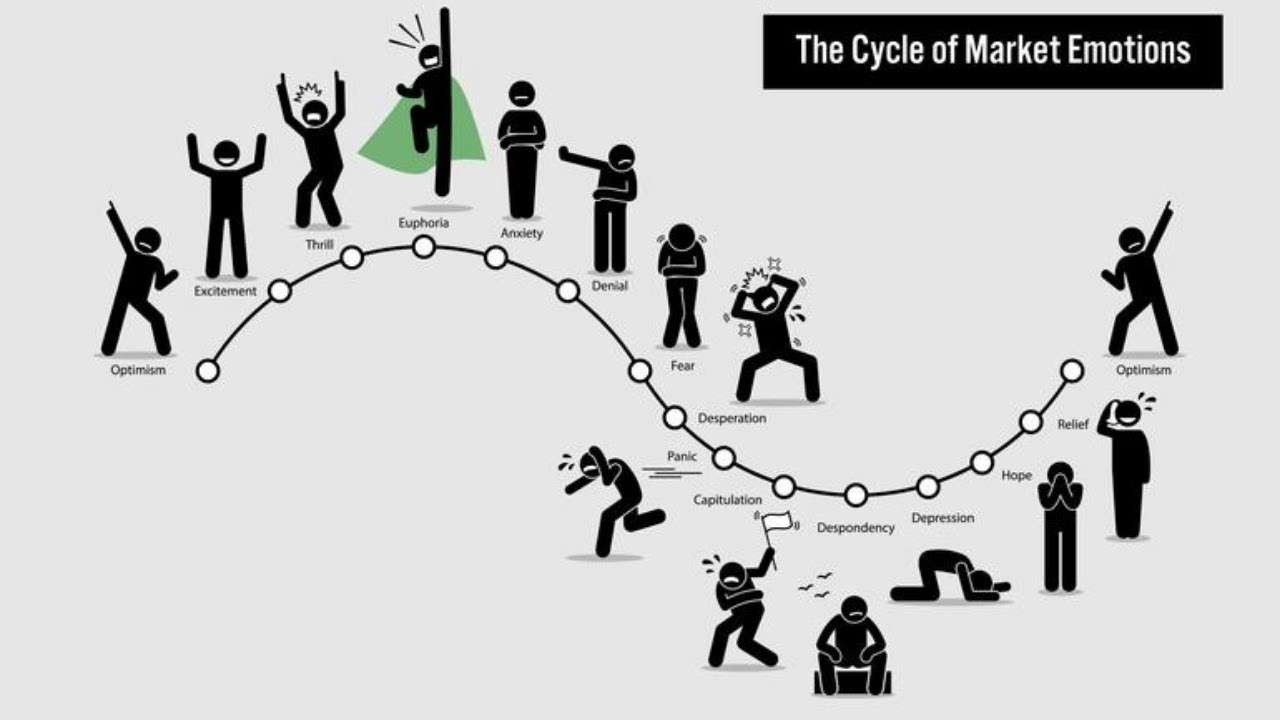 THE MARKET CYCLE 2024